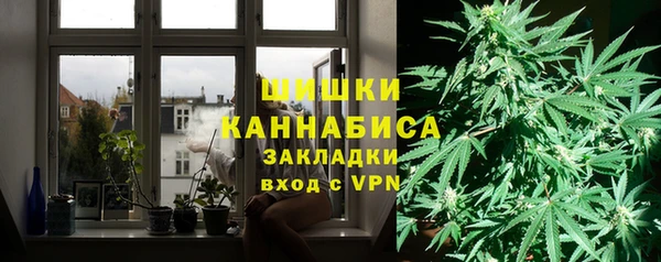 соль ск Касимов
