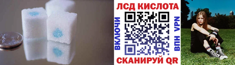 Купить закладки  Болотное  ЛСД экстази ecstasy 